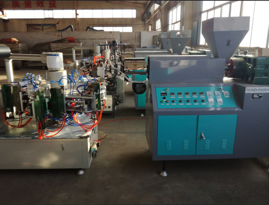 Plc Auto Blow Moulding Machine for Ice Lolly Pipe / Fruit Jelly Pipe